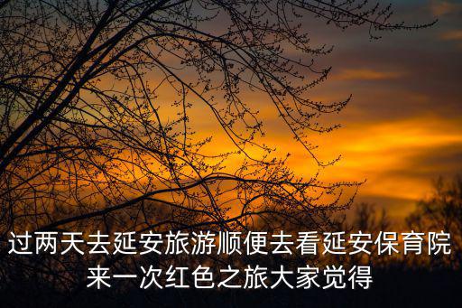 過兩天去延安旅游順便去看延安保育院來一次紅色之旅大家覺得
