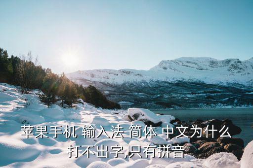 蘋果手機 輸入法 簡體 中文為什么打不出字,只有拼音