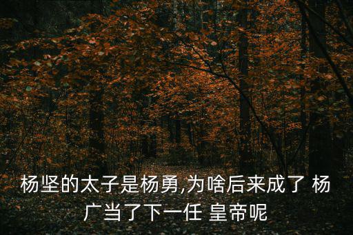 楊堅的太子是楊勇,為啥后來成了 楊廣當了下一任 皇帝呢