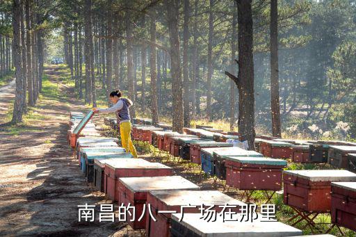 南昌的八一廣場在那里