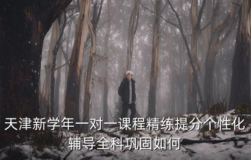天津新學年一對一課程精練提分個性化輔導(dǎo)全科鞏固如何