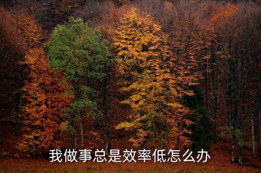 我做事總是效率低怎么辦
