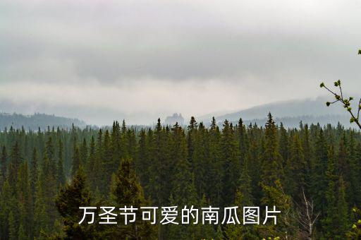 萬圣節(jié)可愛的南瓜圖片