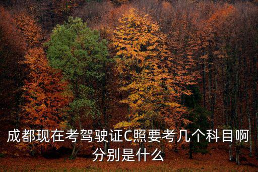 成都現(xiàn)在考駕駛證C照要考幾個科目啊分別是什么