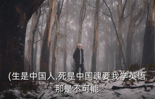 (生是中國人,死是中國魂要我學(xué)英語那是不可能