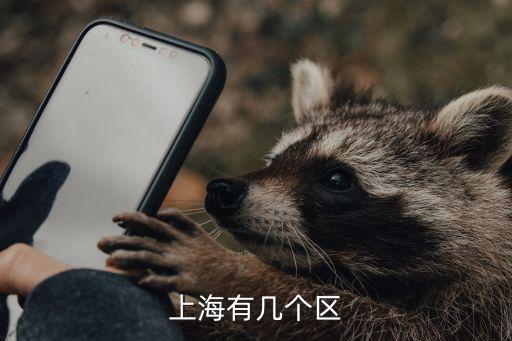 上海市轄區(qū)有幾個(gè)區(qū)，上海市都有哪些轄區(qū)