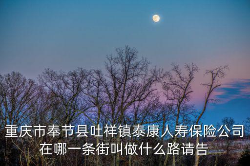 重慶市奉節(jié)縣吐祥鎮(zhèn)泰康人壽保險公司在哪一條街叫做什么路請告