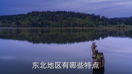 東北地區(qū)有哪些特點(diǎn)