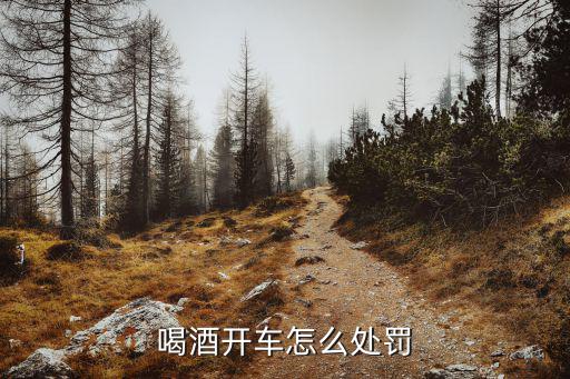 喝酒開車怎么處罰