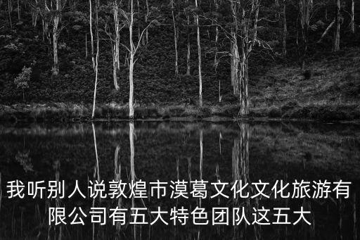 我聽別人說敦煌市漠葛文化文化旅游有限公司有五大特色團隊這五大