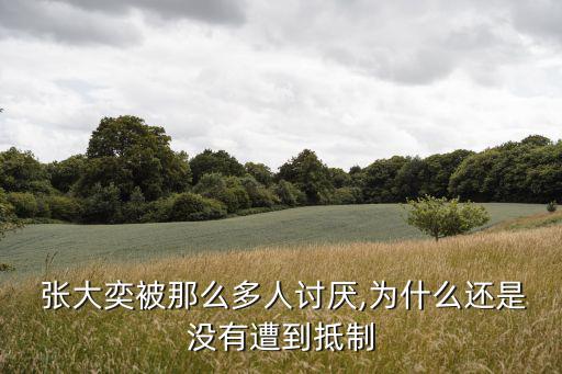 網(wǎng)紅張大奕,網(wǎng)紅變身賣貨網(wǎng)紅背后的真相