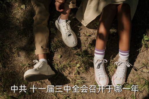中共 十一屆三中全會召開于哪一年