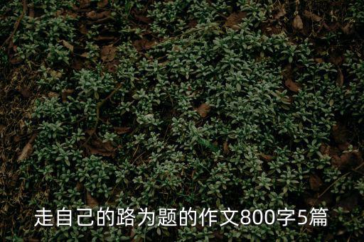 走自己的路作文，走自己的路作文600字優(yōu)秀