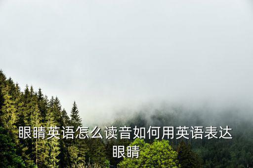  眼睛英語怎么讀音如何用英語表達 眼睛