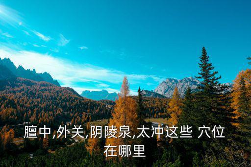 膻中,外關,陰陵泉,太沖這些 穴位在哪里