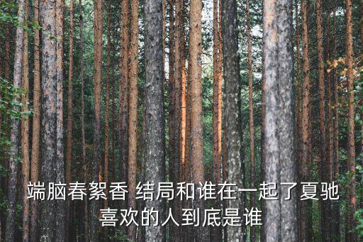 端腦結局,為救孟琴進入端腦游戲夏馳和徐徐翔一起消滅端腦