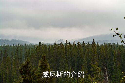  威尼斯的介紹