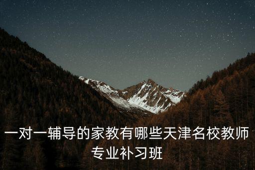 一對一輔導(dǎo)的家教有哪些天津名校教師專業(yè)補習班