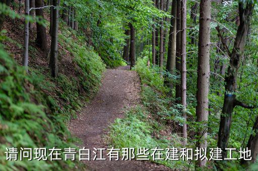 請(qǐng)問(wèn)現(xiàn)在青白江有那些在建和擬建工地