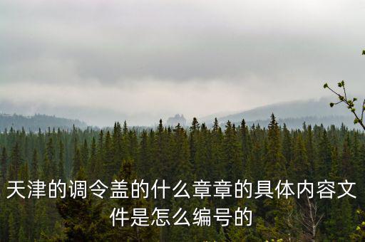 天津的調令蓋的什么章章的具體內容文件是怎么編號的