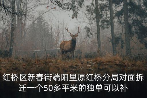 紅橋區(qū)新春街端陽里原紅橋分局對面拆遷一個50多平米的獨單可以補