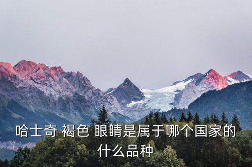 褐色眼睛,哈士奇褐色眼睛很常見不清楚屬于哪個國家