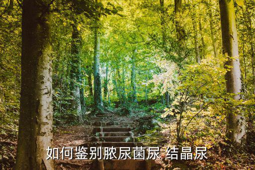 如何鑒別膿尿菌尿 結(jié)晶尿