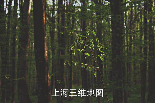上海1949地圖，上海三維地圖
