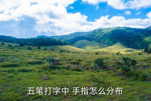 五筆打字中 手指怎么分布