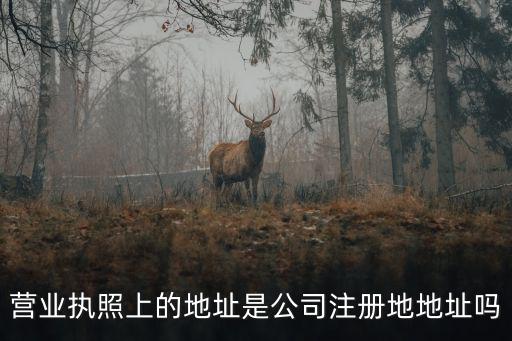 營業(yè)執(zhí)照上的地址是公司注冊地地址嗎
