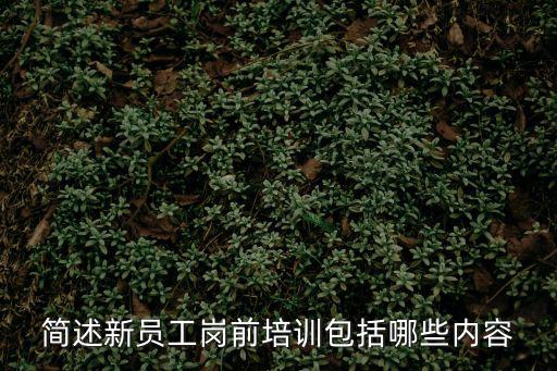 簡述新員工崗前培訓包括哪些內容