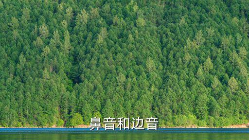 鼻音和邊音，鼻音和邊音