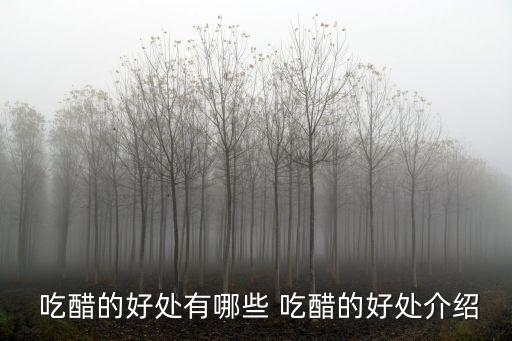  吃醋的好處有哪些 吃醋的好處介紹