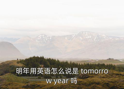 明年用英語怎么說是 tomorrow year 嗎