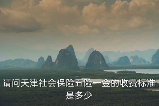 請(qǐng)問(wèn)天津社會(huì)保險(xiǎn)五險(xiǎn)一金的收費(fèi)標(biāo)準(zhǔn)是多少