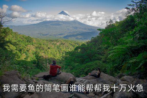 我需要魚的簡筆畫誰能幫幫我十萬火急