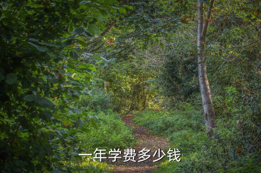 一年學(xué)費(fèi)多少錢