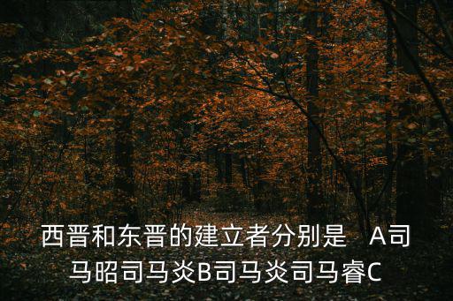 西晉和東晉的建立者分別是   A司馬昭司馬炎B司馬炎司馬睿C