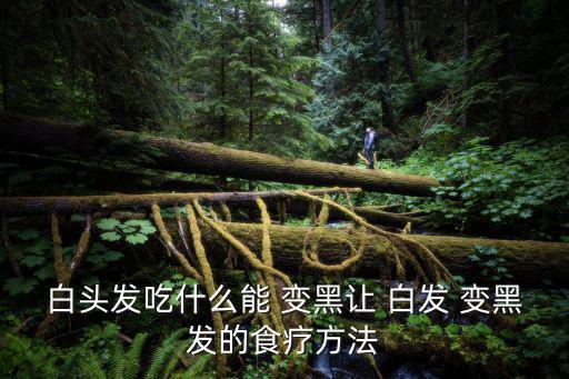 白頭發吃什么能 變黑讓 白發 變黑發的食療方法
