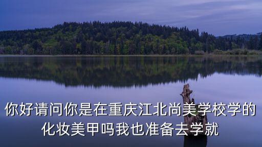 你好請問你是在重慶江北尚美學校學的化妝美甲嗎我也準備去學就