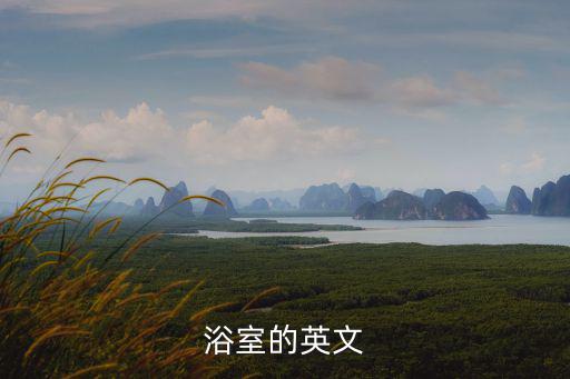淋浴用英語怎么說,短語:淋浴轉換成動詞表示陣雨降落
