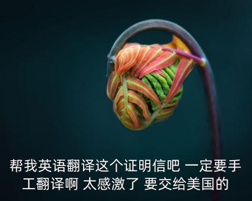 幫我英語翻譯這個證明信吧 一定要手工翻譯啊 太感激了 要交給美國的