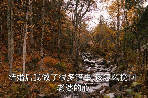 結婚后我做了很多錯事,該怎么挽回 老婆的心
