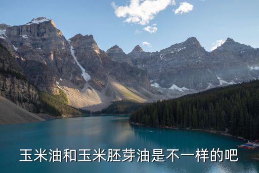 粟米油,從玉米胚芽中提取的兩種植物油被稱為胚芽油