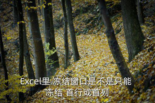 凍結首行,首次點擊凍結第一行第一列如何凍結?