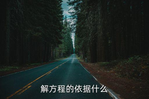 解方程的依據什么