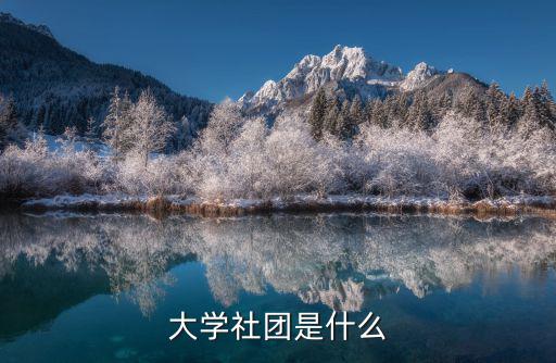 大學社團是什么