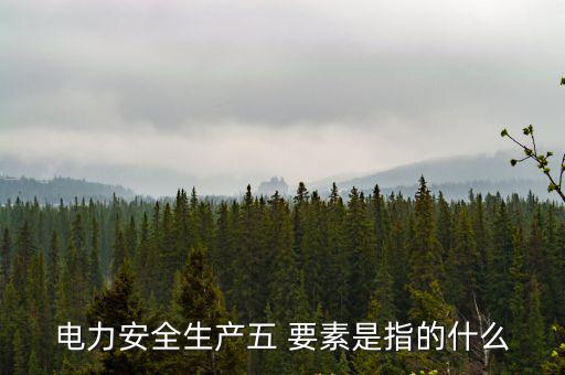 安全生產(chǎn)五要素,全面推進安全生產(chǎn)五要素:1