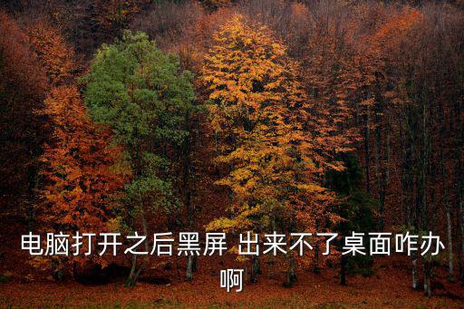 電腦開機后黑屏不顯示桌面，電腦開機后桌面不顯示怎么弄都是黑屏的是什么原因