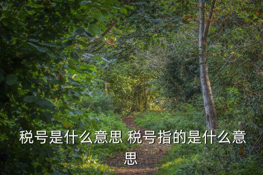  稅號是什么意思 稅號指的是什么意思